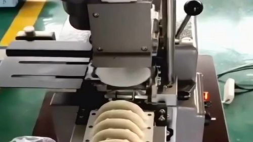 爸爸癱瘓?jiān)诩?媽媽在食品廠上班,每天加工無(wú)數(shù)餃子